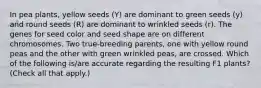 In pea plants, yellow seeds (Y) are dominant to green seeds (y) and round seeds (R) are dominant to wrinkled seeds (r). The genes for seed color and seed shape are on different chromosomes. Two true-breeding parents, one with yellow round peas and the other with green wrinkled peas, are crossed. Which of the following is/are accurate regarding the resulting F1 plants? (Check all that apply.)