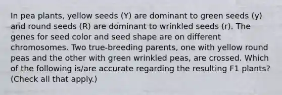 In pea plants, yellow seeds (Y) are dominant to green seeds (y) and round seeds (R) are dominant to wrinkled seeds (r). The genes for seed color and seed shape are on different chromosomes. Two true-breeding parents, one with yellow round peas and the other with green wrinkled peas, are crossed. Which of the following is/are accurate regarding the resulting F1 plants? (Check all that apply.)