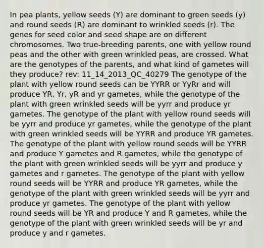 In pea plants, yellow seeds (Y) are dominant to green seeds (y) and round seeds (R) are dominant to wrinkled seeds (r). The genes for seed color and seed shape are on different chromosomes. Two true-breeding parents, one with yellow round peas and the other with green wrinkled peas, are crossed. What are the genotypes of the parents, and what kind of gametes will they produce? rev: 11_14_2013_QC_40279 The genotype of the plant with yellow round seeds can be YYRR or YyRr and will produce YR, Yr, yR and yr gametes, while the genotype of the plant with green wrinkled seeds will be yyrr and produce yr gametes. The genotype of the plant with yellow round seeds will be yyrr and produce yr gametes, while the genotype of the plant with green wrinkled seeds will be YYRR and produce YR gametes. The genotype of the plant with yellow round seeds will be YYRR and produce Y gametes and R gametes, while the genotype of the plant with green wrinkled seeds will be yyrr and produce y gametes and r gametes. The genotype of the plant with yellow round seeds will be YYRR and produce YR gametes, while the genotype of the plant with green wrinkled seeds will be yyrr and produce yr gametes. The genotype of the plant with yellow round seeds will be YR and produce Y and R gametes, while the genotype of the plant with green wrinkled seeds will be yr and produce y and r gametes.