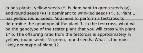 In pea plants, yellow seeds (Y) is dominant to green seeds (y), and round seeds (R) is dominant to wrinkled seeds (r). a. Plant 1 has yellow round seeds. You need to perform a testcross to determine the genotype of the plant 1. In the testcross, what will be the genotype of the tester plant that you will cross with plant 1? b. The offspring ratio from the testcross is approximately ½ yellow, round seeds: ½ green, round seeds. What is the most likely genotype of plant 1?