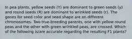 In pea plants, yellow seeds (Y) are dominant to green seeds (y) and round seeds (R) are dominant to wrinkled seeds (r). The genes for seed color and seed shape are on different chromosomes. Two true-breeding parents, one with yellow round peas and the other with green wrinkled peas, are crossed. Which of the following is/are accurate regarding the resulting F1 plants?