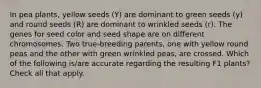 In pea plants, yellow seeds (Y) are dominant to green seeds (y) and round seeds (R) are dominant to wrinkled seeds (r). The genes for seed color and seed shape are on different chromosomes. Two true-breeding parents, one with yellow round peas and the other with green wrinkled peas, are crossed. Which of the following is/are accurate regarding the resulting F1 plants? Check all that apply.