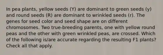 In pea plants, yellow seeds (Y) are dominant to green seeds (y) and round seeds (R) are dominant to wrinkled seeds (r). The genes for seed color and seed shape are on different chromosomes. Two true-breeding parents, one with yellow round peas and the other with green wrinkled peas, are crossed. Which of the following is/are accurate regarding the resulting F1 plants? Check all that apply.