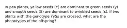 In pea plants, yellow seeds (Y) are dominant to green seeds (y) and smooth seeds (S) are dominant to wrinkled seeds (s). If two plants with the genotype YySs are crossed, what are the phenotypes of the offspring?