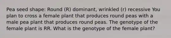 Pea seed shape: Round (R) dominant, wrinkled (r) recessive You plan to cross a female plant that produces round peas with a male pea plant that produces round peas. The genotype of the female plant is RR. What is the genotype of the female plant?