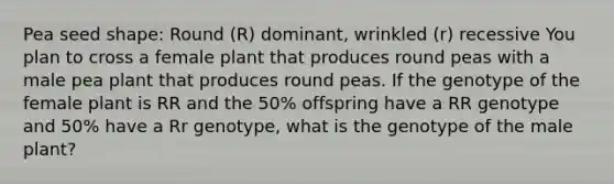 Pea seed shape: Round (R) dominant, wrinkled (r) recessive You plan to cross a female plant that produces round peas with a male pea plant that produces round peas. If the genotype of the female plant is RR and the 50% offspring have a RR genotype and 50% have a Rr genotype, what is the genotype of the male plant?