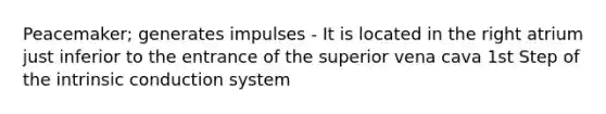 Peacemaker; generates impulses - It is located in the right atrium just inferior to the entrance of the superior vena cava 1st Step of the intrinsic conduction system