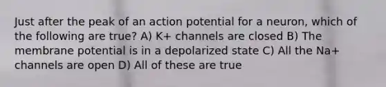 Just after the peak of an action potential for a neuron, which of the following are true? A) K+ channels are closed B) The membrane potential is in a depolarized state C) All the Na+ channels are open D) All of these are true