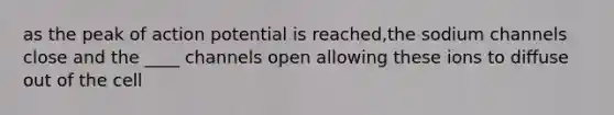 as the peak of action potential is reached,the sodium channels close and the ____ channels open allowing these ions to diffuse out of the cell