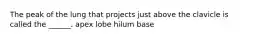 The peak of the lung that projects just above the clavicle is called the ______. apex lobe hilum base
