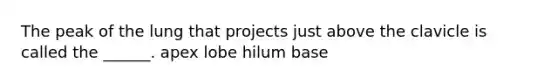 The peak of the lung that projects just above the clavicle is called the ______. apex lobe hilum base