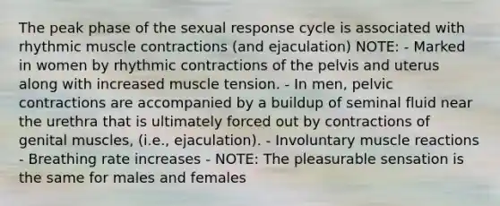 The peak phase of the sexual response cycle is associated with rhythmic muscle contractions (and ejaculation) NOTE: - Marked in women by rhythmic contractions of the pelvis and uterus along with increased muscle tension. - In men, pelvic contractions are accompanied by a buildup of seminal fluid near the urethra that is ultimately forced out by contractions of genital muscles, (i.e., ejaculation). - Involuntary muscle reactions - Breathing rate increases - NOTE: The pleasurable sensation is the same for males and females