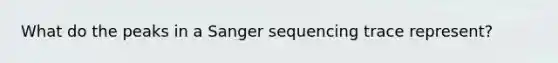 What do the peaks in a Sanger sequencing trace represent?