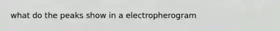 what do the peaks show in a electropherogram