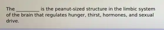 The __________ is the peanut-sized structure in the limbic system of the brain that regulates hunger, thirst, hormones, and sexual drive.