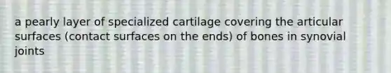 a pearly layer of specialized cartilage covering the articular surfaces (contact surfaces on the ends) of bones in synovial joints