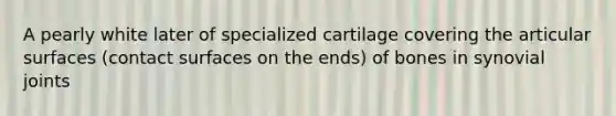 A pearly white later of specialized cartilage covering the articular surfaces (contact surfaces on the ends) of bones in synovial joints