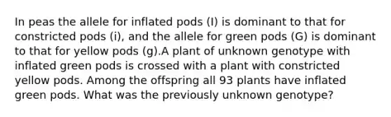 In peas the allele for inflated pods (I) is dominant to that for constricted pods (i), and the allele for green pods (G) is dominant to that for yellow pods (g).A plant of unknown genotype with inflated green pods is crossed with a plant with constricted yellow pods. Among the offspring all 93 plants have inflated green pods. What was the previously unknown genotype?