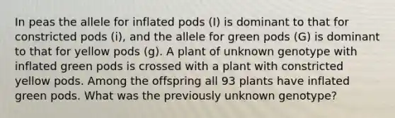 In peas the allele for inflated pods (I) is dominant to that for constricted pods (i), and the allele for green pods (G) is dominant to that for yellow pods (g). A plant of unknown genotype with inflated green pods is crossed with a plant with constricted yellow pods. Among the offspring all 93 plants have inflated green pods. What was the previously unknown genotype?