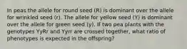 In peas the allele for round seed (R) is dominant over the allele for wrinkled seed (r). The allele for yellow seed (Y) is dominant over the allele for green seed (y). If two pea plants with the genotypes YyRr and Yyrr are crossed together, what ratio of phenotypes is expected in the offspring?