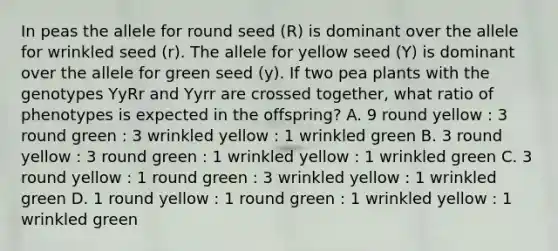 In peas the allele for round seed (R) is dominant over the allele for wrinkled seed (r). The allele for yellow seed (Y) is dominant over the allele for green seed (y). If two pea plants with the genotypes YyRr and Yyrr are crossed together, what ratio of phenotypes is expected in the offspring? A. 9 round yellow : 3 round green : 3 wrinkled yellow : 1 wrinkled green B. 3 round yellow : 3 round green : 1 wrinkled yellow : 1 wrinkled green C. 3 round yellow : 1 round green : 3 wrinkled yellow : 1 wrinkled green D. 1 round yellow : 1 round green : 1 wrinkled yellow : 1 wrinkled green