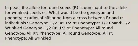 In peas, the allele for round seeds (R) is dominant to the allele for wrinkled seeds (r). What would be the genotype and phenotype ratios of offspring from a cross between Rr and rr individuals? Genotype: 1/2 Rr: 1/2 rr; Phenotype: 1/2 Round: 1/2 Wrinkled Genotype: 1/2 Rr: 1/2 rr; Phenotype: All round Genotype: All Rr; Phenotype: All round Genotype: All rr; Phenotype: All wrinkled