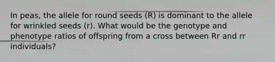 In peas, the allele for round seeds (R) is dominant to the allele for wrinkled seeds (r). What would be the genotype and phenotype ratios of offspring from a cross between Rr and rr individuals?