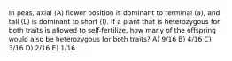 In peas, axial (A) flower position is dominant to terminal (a), and tall (L) is dominant to short (l). If a plant that is heterozygous for both traits is allowed to self-fertilize, how many of the offspring would also be heterozygous for both traits? A) 9/16 B) 4/16 C) 3/16 D) 2/16 E) 1/16