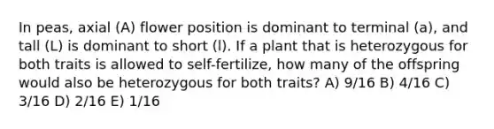 In peas, axial (A) flower position is dominant to terminal (a), and tall (L) is dominant to short (l). If a plant that is heterozygous for both traits is allowed to self-fertilize, how many of the offspring would also be heterozygous for both traits? A) 9/16 B) 4/16 C) 3/16 D) 2/16 E) 1/16