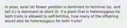 in peas, axial (A) flower position is dominant to terminal (a), and tall (L) is dominant to short (l). if a plant that is heterozygous for both traits is allowed to self-fertilize, how many of the offspring would also be heterozygous for both traits?