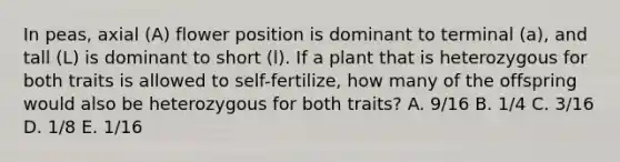 In peas, axial (A) flower position is dominant to terminal (a), and tall (L) is dominant to short (l). If a plant that is heterozygous for both traits is allowed to self-fertilize, how many of the offspring would also be heterozygous for both traits? A. 9/16 B. 1/4 C. 3/16 D. 1/8 E. 1/16