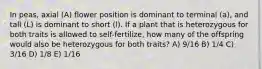 In peas, axial (A) flower position is dominant to terminal (a), and tall (L) is dominant to short (l). If a plant that is heterozygous for both traits is allowed to self-fertilize, how many of the offspring would also be heterozygous for both traits? A) 9/16 B) 1/4 C) 3/16 D) 1/8 E) 1/16