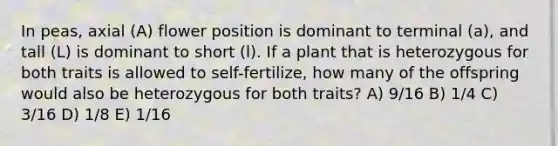 In peas, axial (A) flower position is dominant to terminal (a), and tall (L) is dominant to short (l). If a plant that is heterozygous for both traits is allowed to self-fertilize, how many of the offspring would also be heterozygous for both traits? A) 9/16 B) 1/4 C) 3/16 D) 1/8 E) 1/16