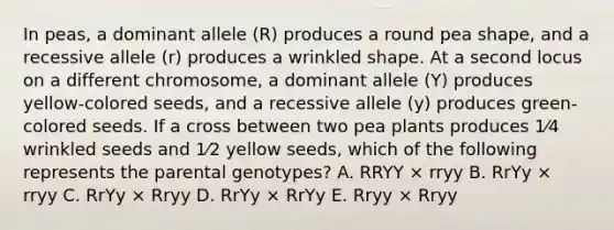 In peas, a dominant allele (R) produces a round pea shape, and a recessive allele (r) produces a wrinkled shape. At a second locus on a different chromosome, a dominant allele (Y) produces yellow-colored seeds, and a recessive allele (y) produces green-colored seeds. If a cross between two pea plants produces 1⁄4 wrinkled seeds and 1⁄2 yellow seeds, which of the following represents the parental genotypes? A. RRYY × rryy B. RrYy × rryy C. RrYy × Rryy D. RrYy × RrYy E. Rryy × Rryy