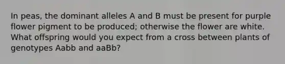 In peas, the dominant alleles A and B must be present for purple flower pigment to be produced; otherwise the flower are white. What offspring would you expect from a cross between plants of genotypes Aabb and aaBb?