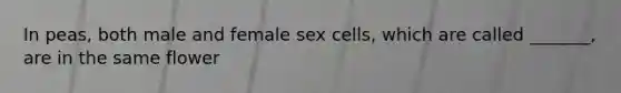 In peas, both male and female sex cells, which are called _______, are in the same flower