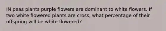 IN peas plants purple flowers are dominant to white flowers. If two white flowered plants are cross, what percentage of their offspring will be white flowered?