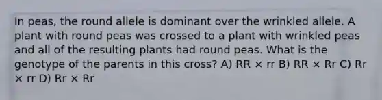 In peas, the round allele is dominant over the wrinkled allele. A plant with round peas was crossed to a plant with wrinkled peas and all of the resulting plants had round peas. What is the genotype of the parents in this cross? A) RR × rr B) RR × Rr C) Rr × rr D) Rr × Rr