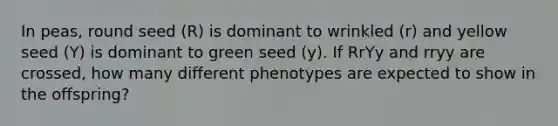 In peas, round seed (R) is dominant to wrinkled (r) and yellow seed (Y) is dominant to green seed (y). If RrYy and rryy are crossed, how many different phenotypes are expected to show in the offspring?