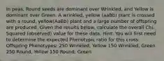 In peas, Round seeds are dominant over Wrinkled, and Yellow is dominant over Green. A wrinkled, yellow (aaBb) plant is crossed with a round, yellow(AaBb) plant and a large number of offspring are produced. Given the results below, calculate the overall Chi-Squared (observed) value for these data. Hint: You will first need to determine the expected Phenotypic ratio for this cross. Offspring Phenotypes: 250 Wrinkled, Yellow 150 Wrinkled, Green 250 Round, Yellow 150 Round, Green