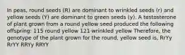 In peas, round seeds (R) are dominant to wrinkled seeds (r) and yellow seeds (Y) are dominant to green seeds (y). A testosterone of plant grown from a round yellow seed produced the following offspring: 115 round yellow 121 wrinkled yellow Therefore, the genotype of the plant grown for the round, yellow seed is, RrYy RrYY RRYy RRYY