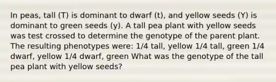 In peas, tall (T) is dominant to dwarf (t), and yellow seeds (Y) is dominant to green seeds (y). A tall pea plant with yellow seeds was test crossed to determine the genotype of the parent plant. The resulting phenotypes were: 1/4 tall, yellow 1/4 tall, green 1/4 dwarf, yellow 1/4 dwarf, green What was the genotype of the tall pea plant with yellow seeds?