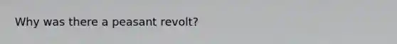 Why was there a peasant revolt?