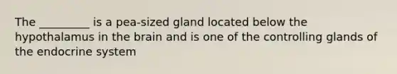 The _________ is a pea-sized gland located below the hypothalamus in the brain and is one of the controlling glands of the endocrine system
