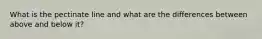 What is the pectinate line and what are the differences between above and below it?