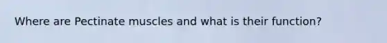 Where are Pectinate muscles and what is their function?