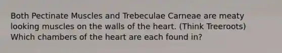 Both Pectinate Muscles and Trebeculae Carneae are meaty looking muscles on the walls of the heart. (Think Treeroots) Which chambers of the heart are each found in?