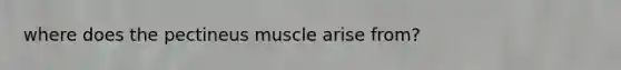 where does the pectineus muscle arise from?