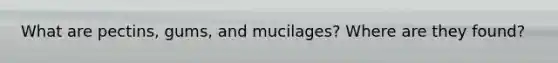 What are pectins, gums, and mucilages? Where are they found?