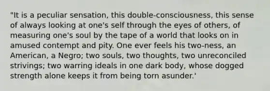 "It is a peculiar sensation, this double-consciousness, this sense of always looking at one's self through the eyes of others, of measuring one's soul by the tape of a world that looks on in amused contempt and pity. One ever feels his two-ness, an American, a Negro; two souls, two thoughts, two unreconciled strivings; two warring ideals in one dark body, whose dogged strength alone keeps it from being torn asunder.'